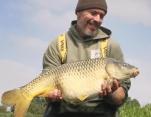 Rob_Melbourne_Nice_Common_Carp