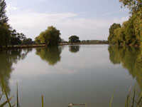 Pattenden Lane Lake view