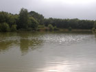 Duck Lake view