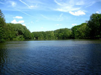  Runham Lake view