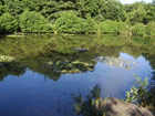 Rosemary Lakes view