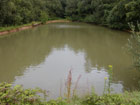 Stock pond view