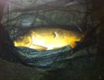 Andrew Turner 12lb8oz Mirror