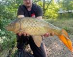 Brad_Reece_Common_Carp