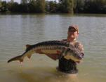 Chris Painter 49LB Sturgeon