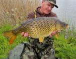 Colin Overton Nice Common