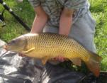 James Bishop 14lb_Common