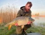 Lloyd Harrison Scaly Carp