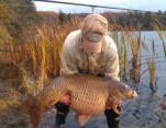 Neil Kent 42lb Common