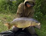 Oliver Tree 22lb5oz Common