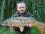 Scott Viles Fully Scaled Mirror