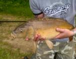 Sean Mackey 12lb Mirror Carp