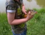 Young Mr Mackey Mirror Carp