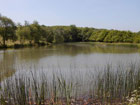 Park Farm Lake